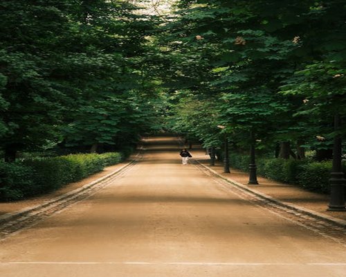 A person walking through a bright green urban park during a fresh morning layout
